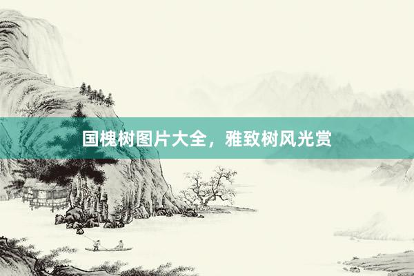 国槐树图片大全，雅致树风光赏