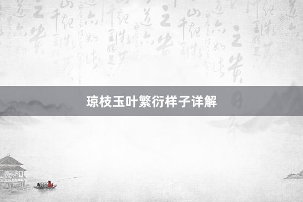 琼枝玉叶繁衍样子详解