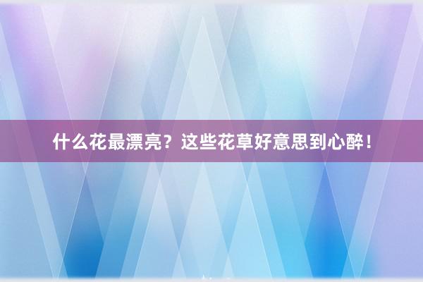 什么花最漂亮？这些花草好意思到心醉！