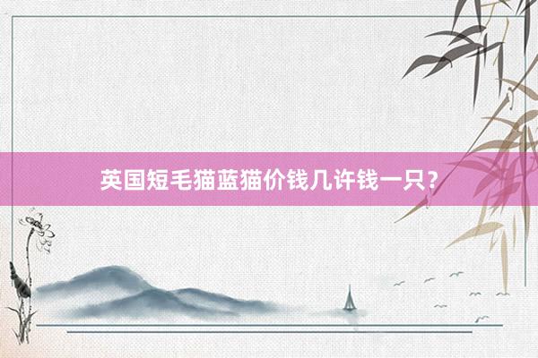 英国短毛猫蓝猫价钱几许钱一只？