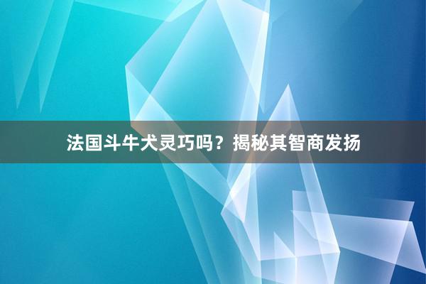 法国斗牛犬灵巧吗?揭秘其智商发扬